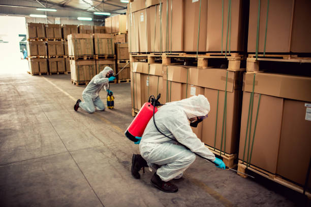 Best Bed Bug Extermination  in Locust, NC