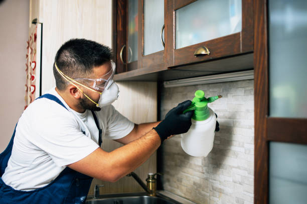 Best Bed Bug Extermination  in Locust, NC