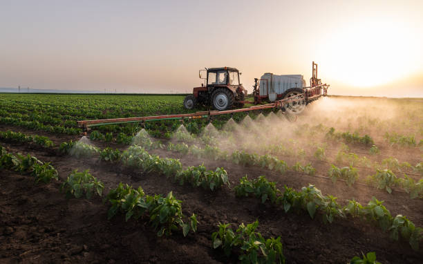 Best Mosquito Control Services  in Locust, NC