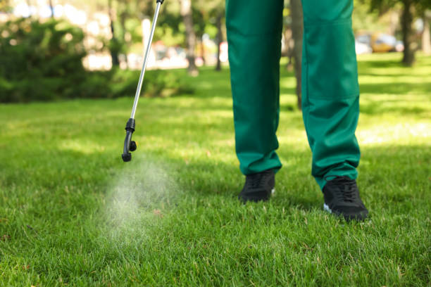 Best Commercial Pest Control Services  in Locust, NC