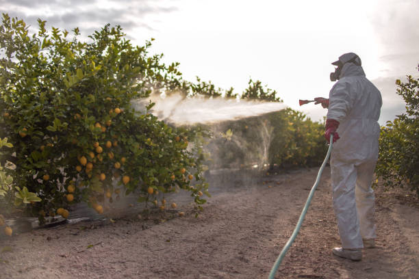 Best Best Pest Control Companies  in Locust, NC