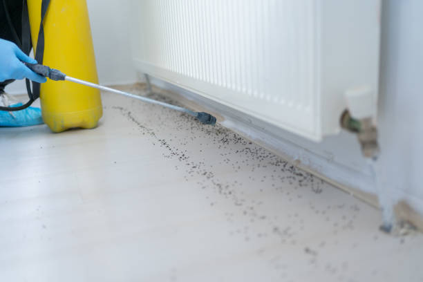 Best Pest Control for Homes  in Locust, NC