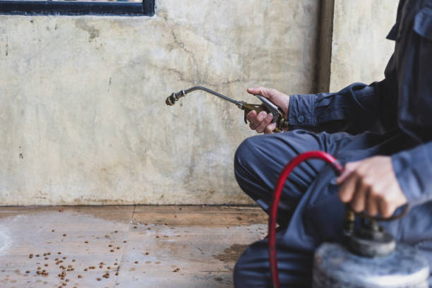 Best Pest Control Near Me in Locust, NC